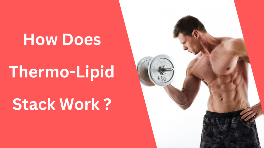 How Does Thermo-Llipid Stack Work ?