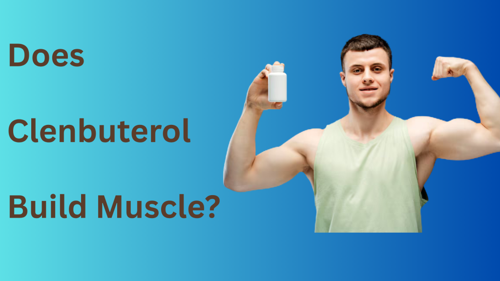 Does Clenbuterol Build Muscle ?