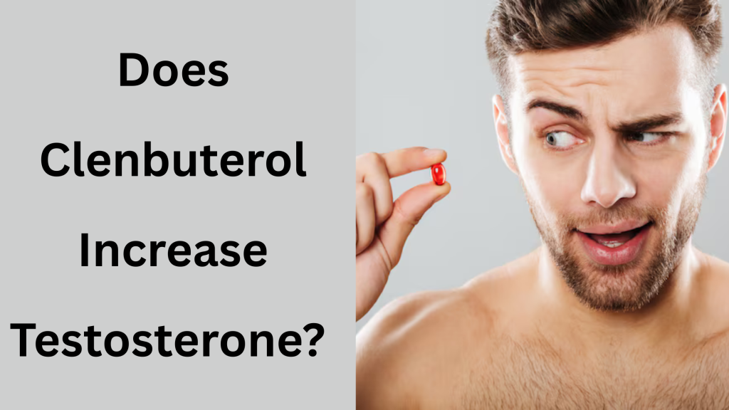 Does Clenbuterol Increase Testosterone? 1 Does Clenbuterol Increase Testosterone?