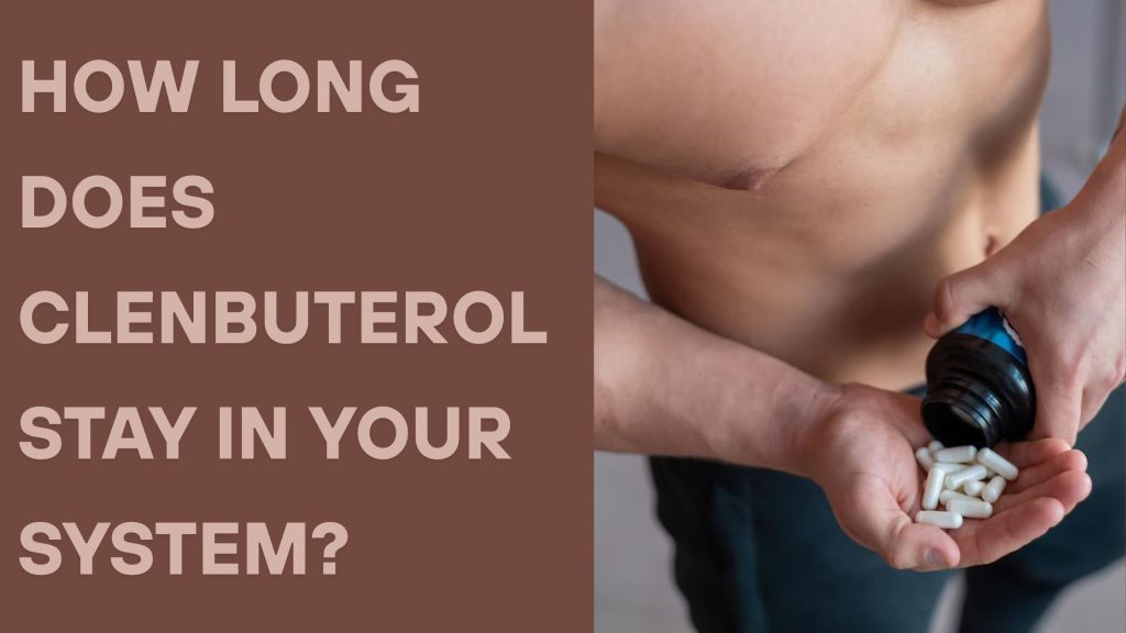 How Long Does Clenbuterol Stay in Your System? 1 How Long Does Clenbuterol Stay in Your System?