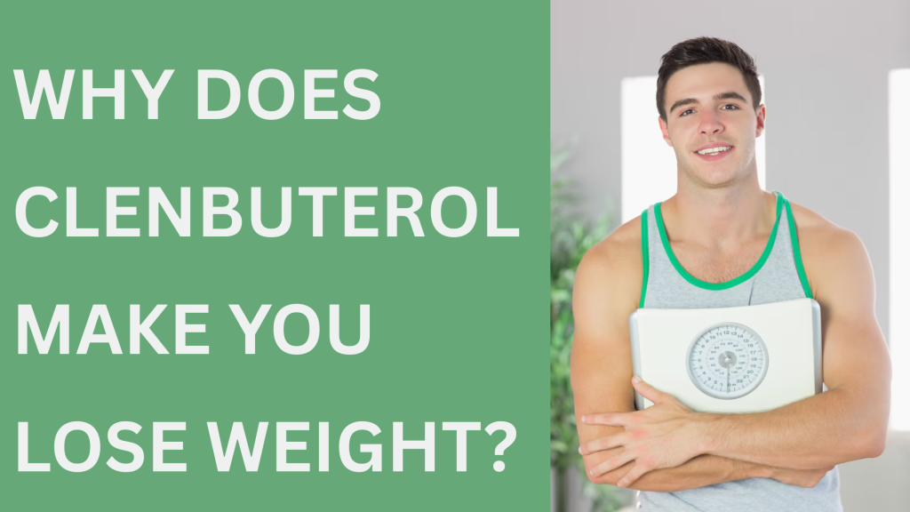 Why Does Clenbuterol Make You Lose Weight? 1 Why Does Clenbuterol Make You Lose Weight?